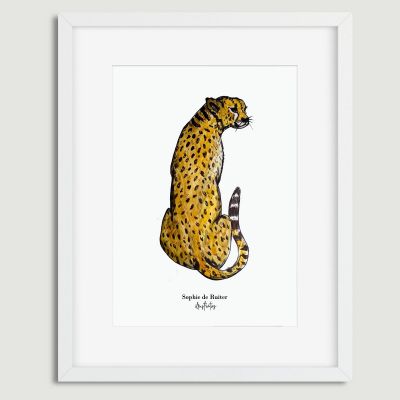 Aquarel illustratie cheetah door Sophie de Ruiter