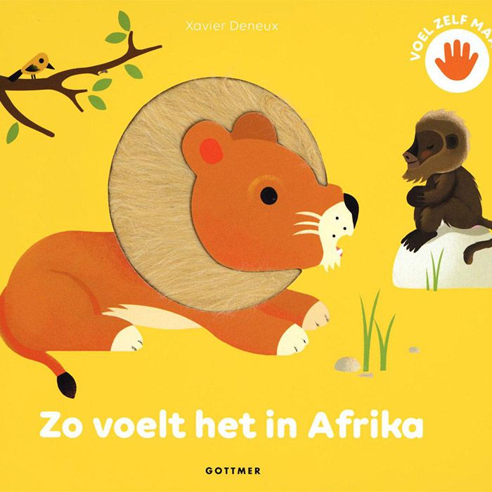 Voelboekje Zo voelt het in Afrika
