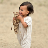 Wildride knuffel Cheetah