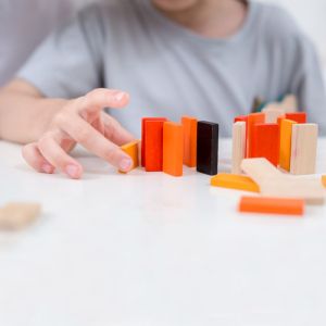 Plan Toys houten spel domino