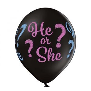 Ballonnen He or She? (6st)