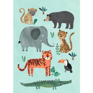 Poster wild animals 50x70 Petit Monkey